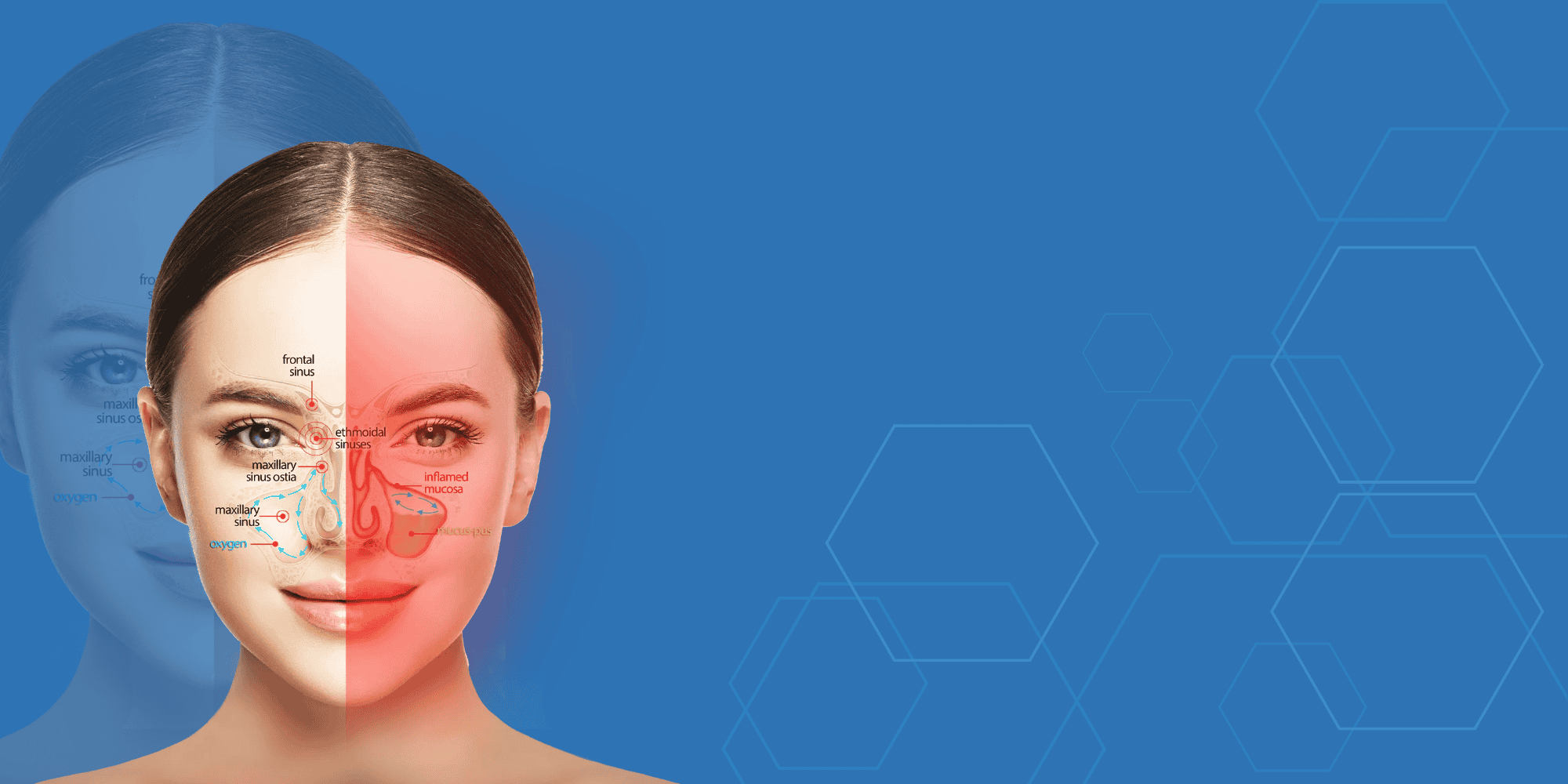 Nevia Biotech